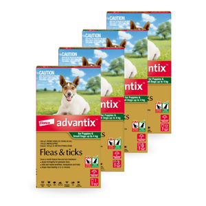 Advantix Spot-On for Puppies & Small Dogs Upto 4kg (Green) Advantix green puppies, Advantix small dogs up to 4kg, flea and tick treatment for puppies, paralysis tick protection small dogs, mosquito repellent for dogs, Advantix spot-on green pack, Bayer Advantix puppies