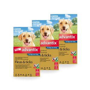 Advantix Spot-On for XLarge Dogs Over 25kg (Blue) 