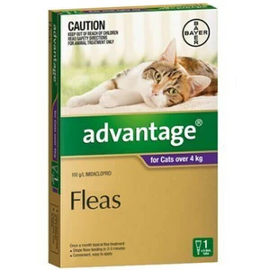 Advantage Purple Single Dose Pack for Cats over 4kg