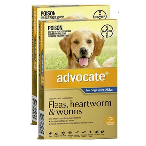 Advocate Blue for Extra Large Dog over 25kg 12 pk