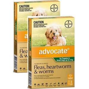 Advocate Small Dog Green (< 4kg) 12 pack  