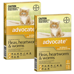 Advocate Small Cat Orange (<4kg) 12pk