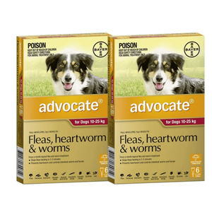 Advocate Red for Large Dogs 10-25kg 12pk ( 2 x 6pks)