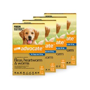 Advocate Spot-On for XLarge Dogs Over 25kg (Blue) Advocate for dogs over 25kg, large dog flea treatment, dog heartworm prevention, broad-spectrum wormer for dogs, monthly parasite protection dogs, Advocate spot-on large dogs