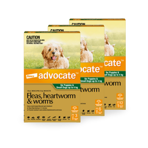Advocate Spot-On for Puppies & Small Dogs Upto 4kg (Green) Advocate for small dogs, flea treatment dogs under 4kg, dog worming spot-on, heartworm prevention toy breeds, parasite protection small dogs, Advocate flea worm heartworm treatment