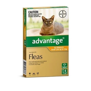 Advantage Orange 4pk Small Cats up to 4kg