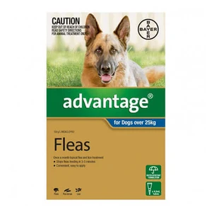 Advantage Blue Single over 25kg Extra Large Dogs