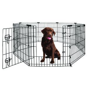Yours Droolly Exercise Pen 42" with Door