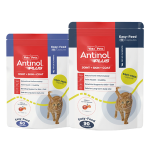 Antinol Plus for Cats - Easy-Feed Capsules antinol plus cats, antinol cats dosage, antinol joint support cats, cat arthritis supplement, cat mobility supplement, cat skin coat supplement, antinol cat omega 3, antinol green lipped mussel cats, krill oil cats supplement, natural anti inflammatory ca