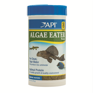 API Algae Eater Wafers [SIZE: 181g]
