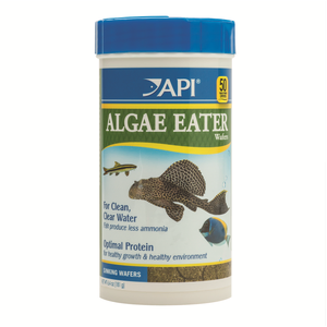 API Algae Eater Wafers [SIZE: 181g]