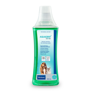 CLEARANCE | Aquadent 250ml - BBMARCH2026 + No Measuring Cup Lid 