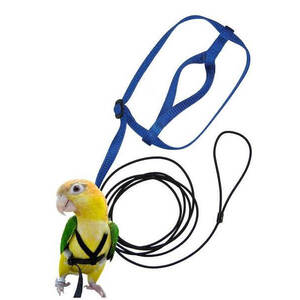 Aviator Bird Harness & Leash Blue