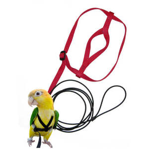 Aviator Bird Harness & Leash Red