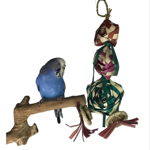Bella Bird Toy 