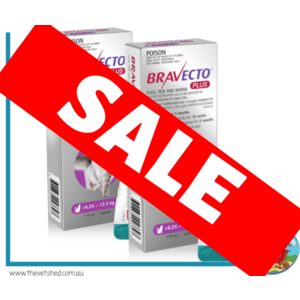 Bravecto Plus for Large Cats (>6.25 – 12.5kg) Purple x 2 pack 
