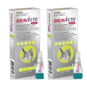 Bravecto Plus for Small Cats (1.2-2.8kg) Green x 2 pack  