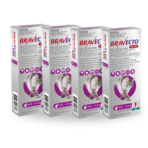 Bravecto Plus for Large Cats (>6.25 Ð 12.5kg) Purple x 4pk
