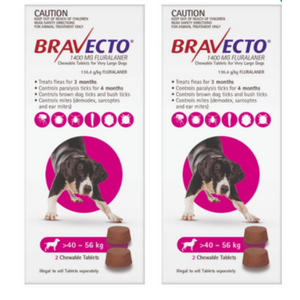 Bravecto for Extra Large Dogs 40 - 56 kg x 4 Chews (12 months treatment) 
