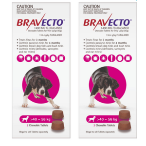 Bravecto for Extra Large Dogs 40 - 56 kg x 4 Chews (12 months treatment) 