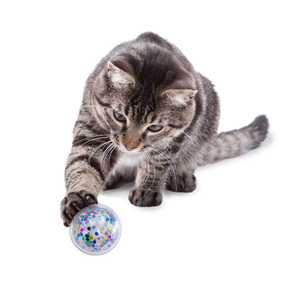 KONG Cat Active Confetti Ball
