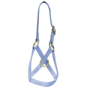 Rancher Blue Halter and Lead set for Alpacas - Large