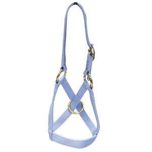 Rancher Blue Halter and Lead set for Alpacas - Large