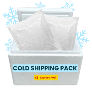 Cold Shipping Pack (Esky + Ice Bricks) 