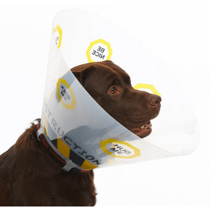 Buster Recovery Collar - Under Construction