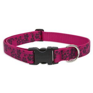 Lupine 25-31 Large Dog Collar Plum Blossom 1 inch thick, Adjustable 25-31 inches