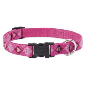 Lupine 12-20 Large Dog Collar Puppy Love 1 inch thick, Adjustable 12-20 inches