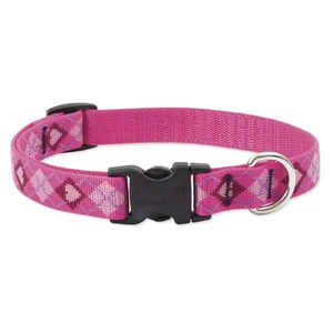 Lupine 25-31 Large Dog Collar Puppy Love 1 inch thick, Adjustable 25-31 inches