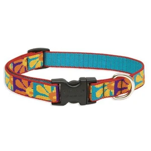 Lupine 9-14 Medium Dog Collar Crazy Daisy 3/4 inch thick, Adjustable 9 -14 inches