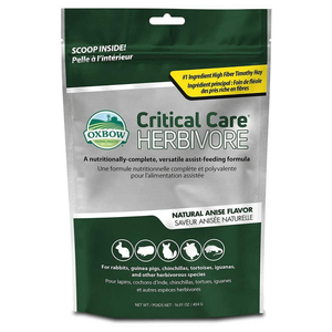 Oxbow Critical Care Herbivore Aniseed Recovery Food