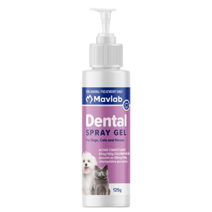 Dental Spray Gel 125ml