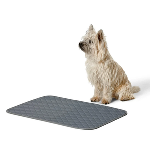 Snooza Washable Pee Pad 2pk - Small 
