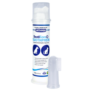 DentiCare Toothpaste 100G
