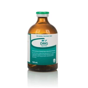 Ceva DMG Injection 100mL ceva dmg injection, equine dmg injection, horse dmg injection, horse endurance injection, horse stamina injection, horse energy booster injection, horse performance injection, equine performance supplement, equine energy injection, equine recovery injecti