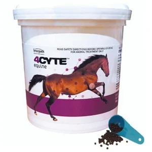 4Cyte Equine 700gm Joint Supplement For Horses