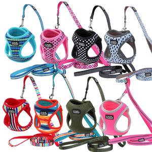Caat Cat Harness & Leash Combo cat harness lead combo australia, cat walking set breathable, secure fit cat harness, garden cat harness, cat exploration harness, backyard cat walking harness, adjustable cat lead set, safe outdoor cat harness, anti escape cat harness australia, cat harn