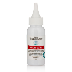 Blue Planet Multi Cure 50ml