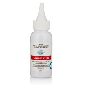 Blue Planet Fungus Cure 50ml