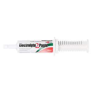 Value Plus Electrolyte 2 Paste 60ml