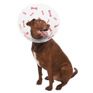 Buster Recovery Collar - Bones