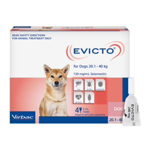 Evicto Spot On for Large Dogs 20-40kg - 4 pack