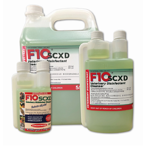 F10SCXD Veterinary Disinfectant Pine F10SCXD disinfectant, pine disinfectant for pets, vet disinfectant cleaner, animal safe disinfectant, pet safe cleaner, veterinary disinfectant pine, F10 disinfectant with detergent, kennel cleaner, cattery disinfectant, pet disinfectant pine