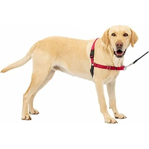 Gentle Leader Harness w/ Front Leash - Large