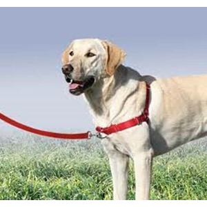 Gentle Leader Harness w/ Front Leash - Medium