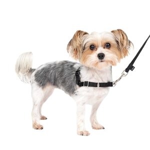 Gentle Leader Harness With Front Leash Attachment Petite