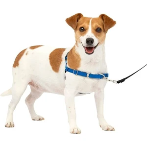 Gentle Leader Harness w/ Front Leash - Small